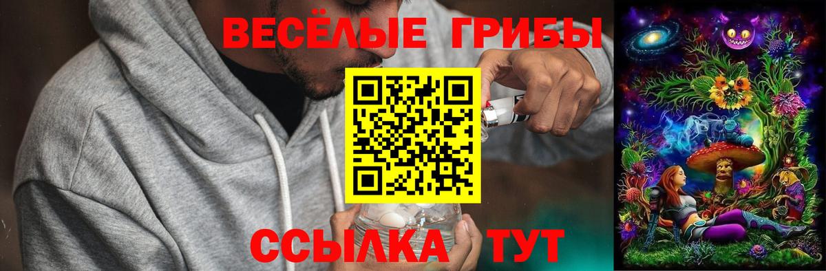 Псилоцибиновые грибы MAGIC MUSHROOMS  сколько стоит  Урюпинск  Галлюциногенные грибы Psilocybine cubensis  Вход с VPN 