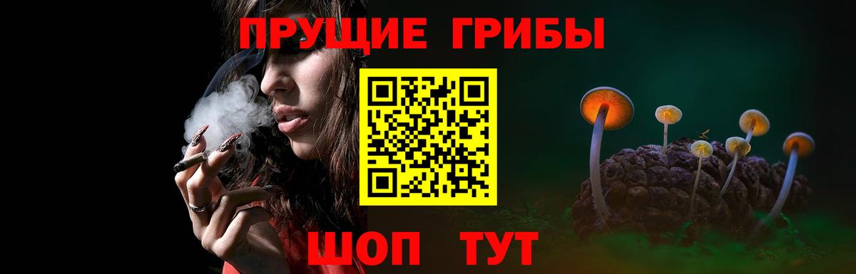 Псилоцибиновые грибы мухоморы Урюпинск